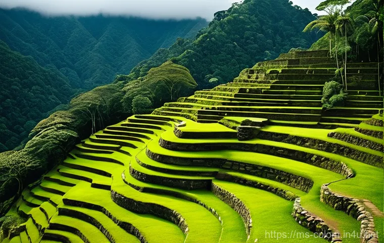 콜롬비아 로스트 시티 트레킹 - **Prompt 1: The Verdant Challenge**
"A group of diverse hikers, wearing durable quick-dry trekki... 콜롬비아 로스트 시티 트레킹 - **Prompt 1: The Verdant Challenge**
"A group of diverse hikers, wearing durable quick-dry trekki...